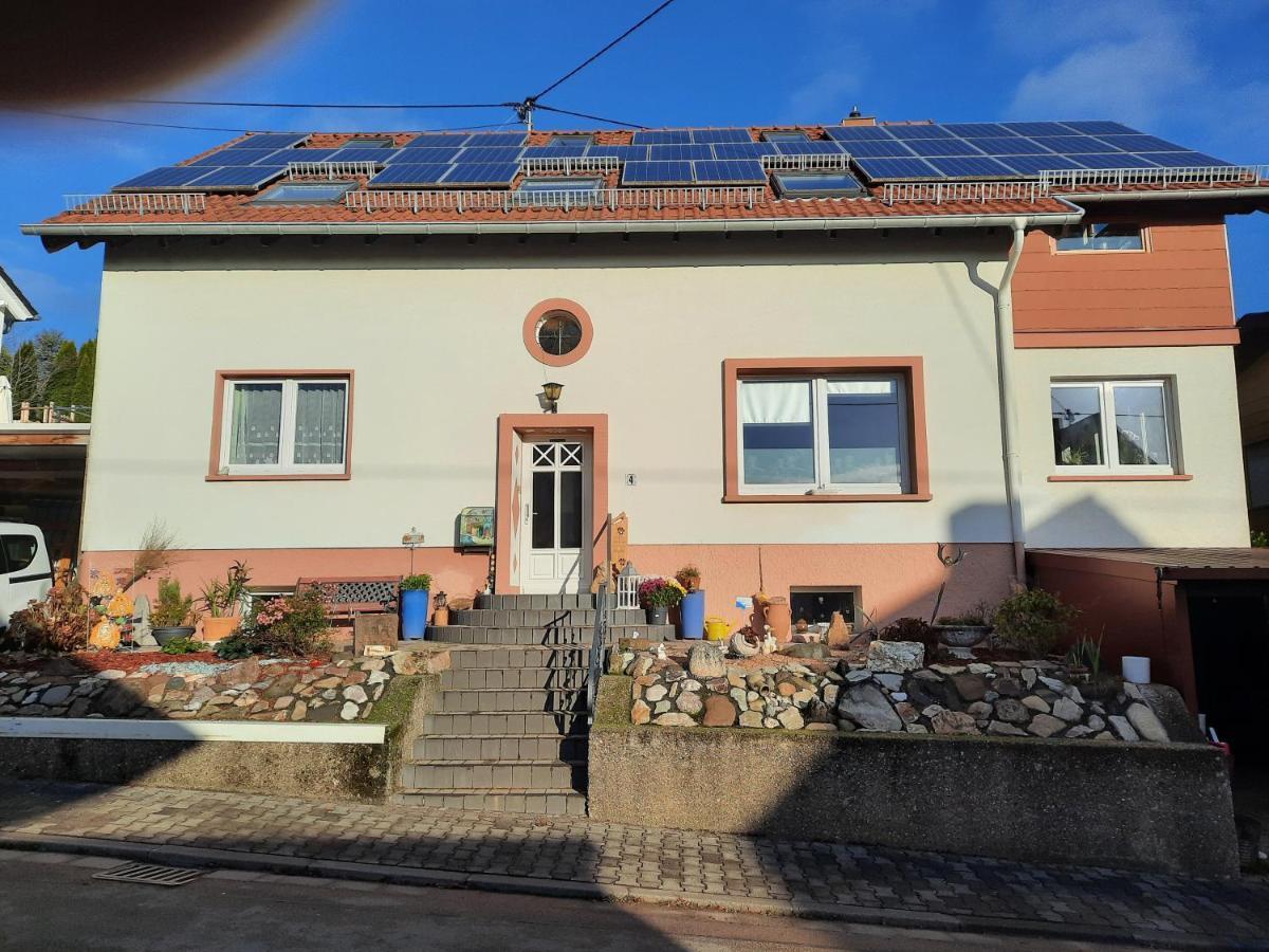 Ferienwohnung Friedel Und Kaethe Oberthal ภายนอก รูปภาพ